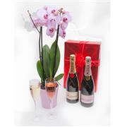 Orchid Twin Stemmed Moet &amp; Chandon Gift Duo