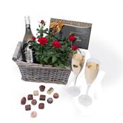 Prosecco, Red Rose Plant &amp; Chocolates 