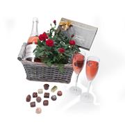 Rosado Wine, Red Rose Plant &amp; Chocolates 125g