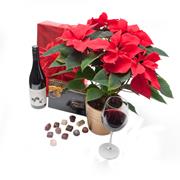 Poinsettia Potted, Chocolates &amp; Red Wine